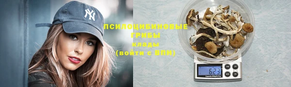 наркотики Белокуриха