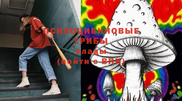 эйфоретик Беломорск