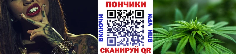 Шишки марихуана SATIVA & INDICA  магазин продажи   Щучье 